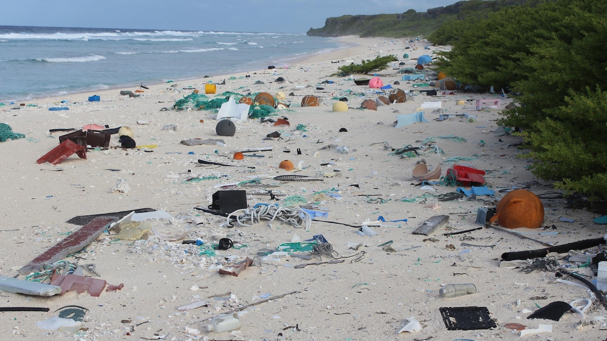 Des centaines de déchets jonchent une plage de l'île Hendersion, dans le Pacifique