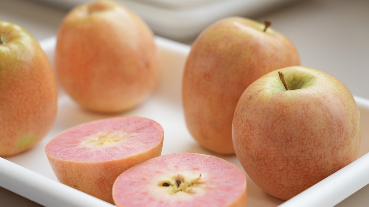 Le parcours d’une pomme de Summerland, de sa création à sa commercialisation