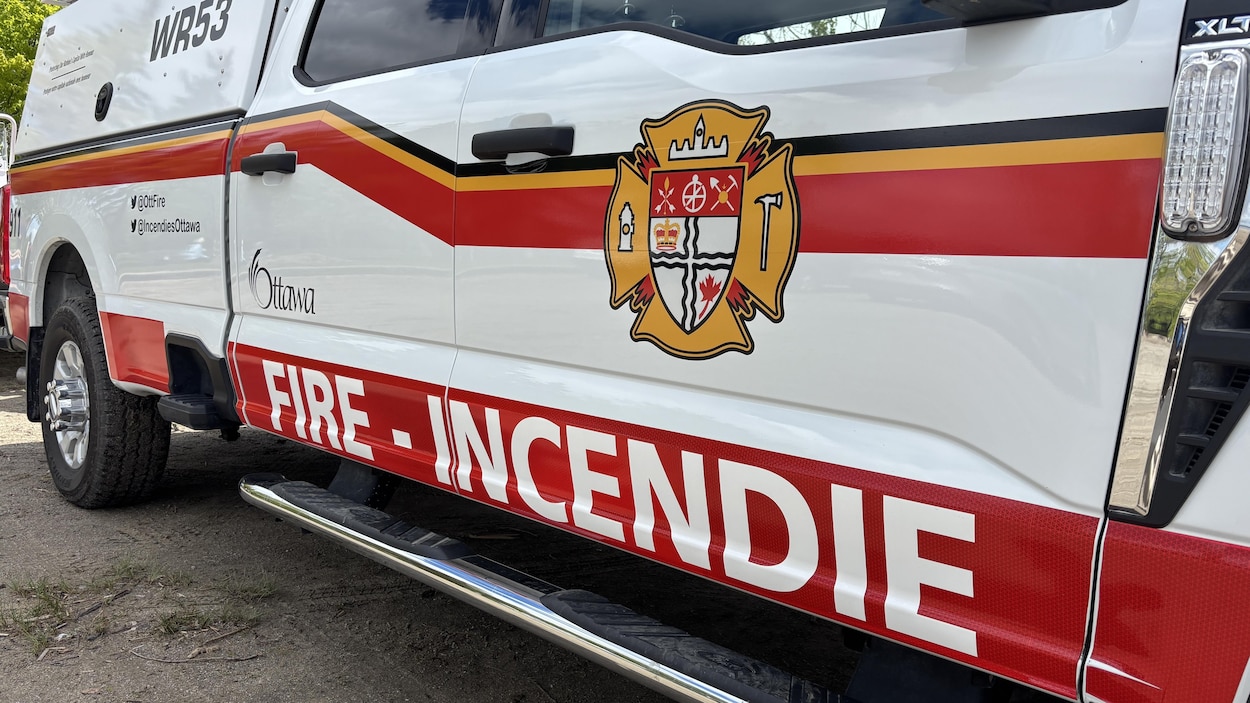 Un chat et un chien meurent dans un incendie à Ottawa