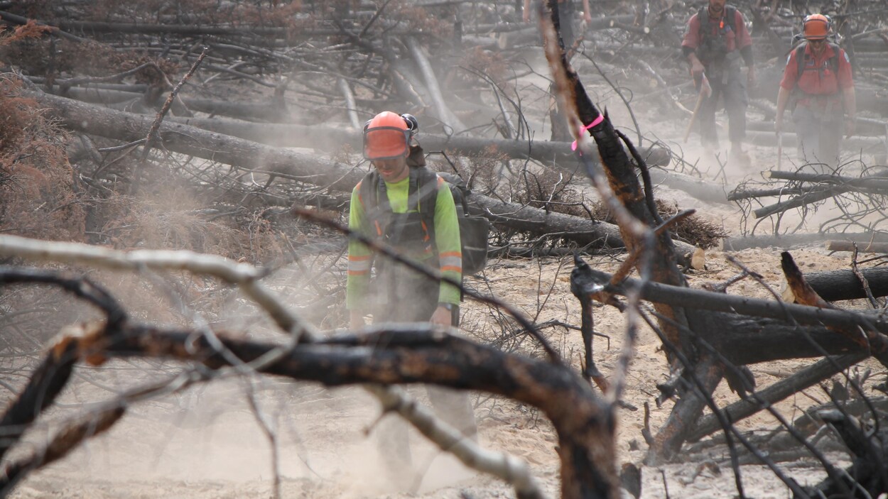 Des pompiers marchent le long d'un sentier autour de branches calcinées sur le terrain du feu lac Alkali.