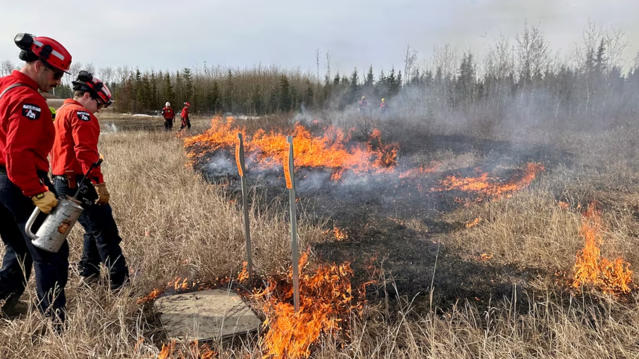 High Level se prépare en vue des feux de forêt