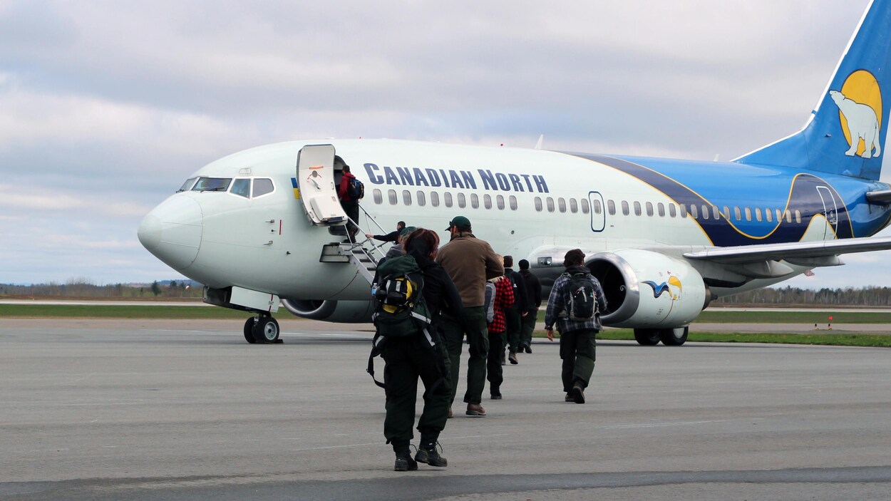 Un groupe de personnes marchant vers un avion.