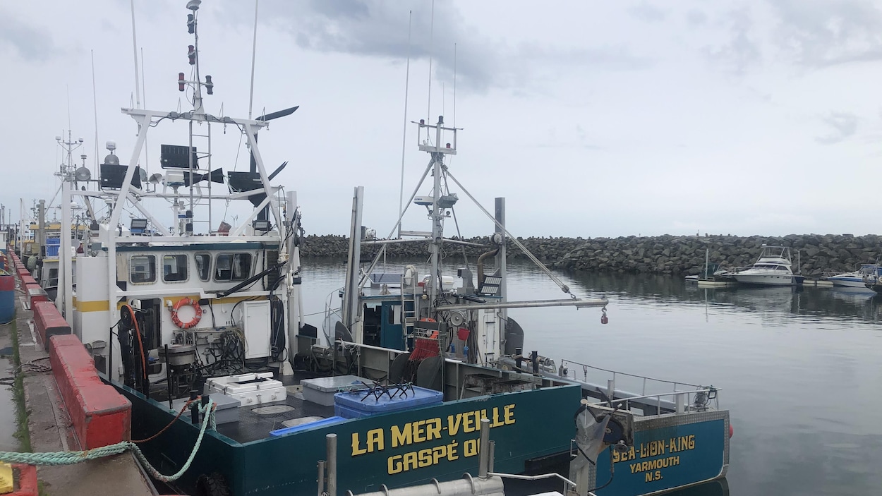 Pression sur Ottawa pour le renouvellement du Fonds des pêches