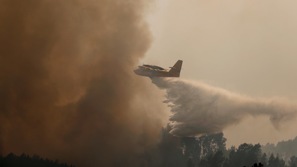 Un avion de lutte contre les incendies à Chaveira au Portugal, le 22 juillet 2019.