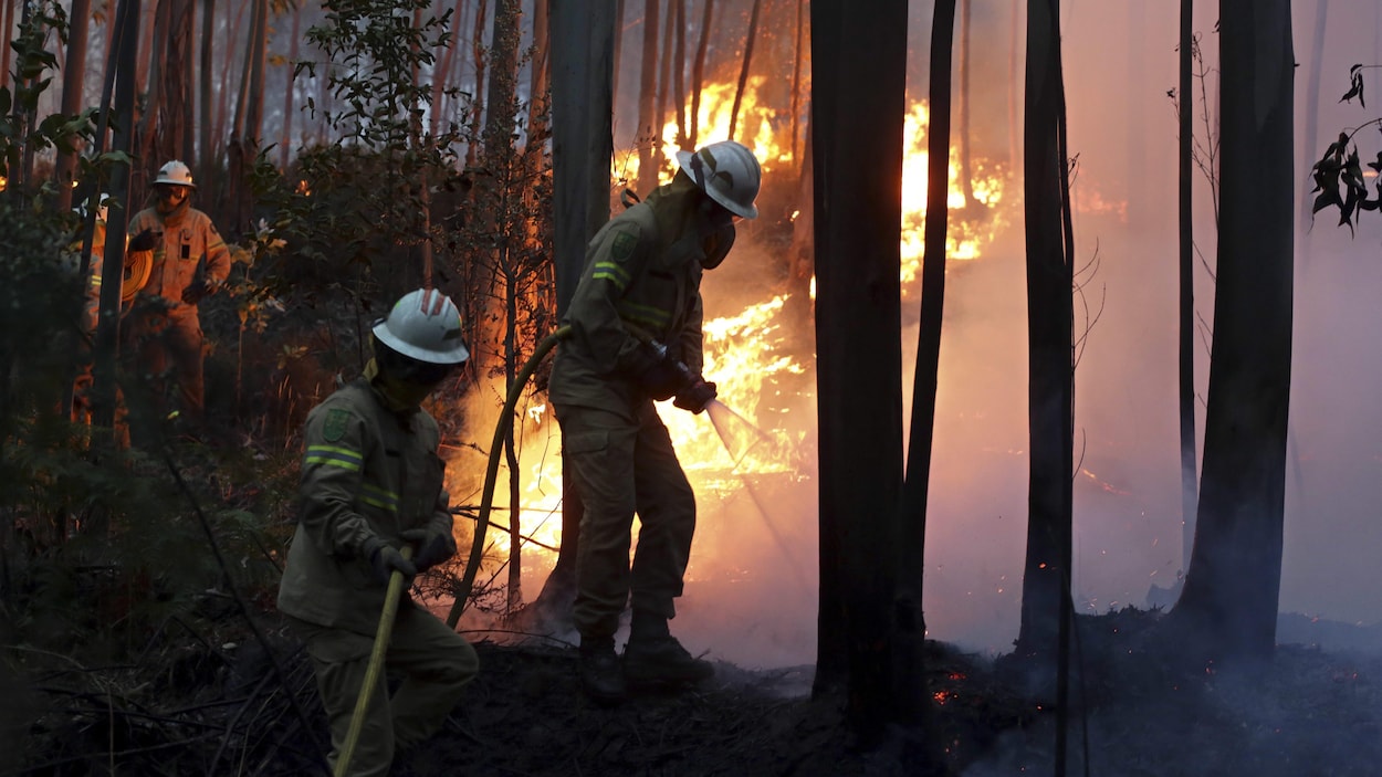 Photo de pompiers qui arrosent les flammes en forêt. Photo de pompiers qui arrosent les flammes en forêt.