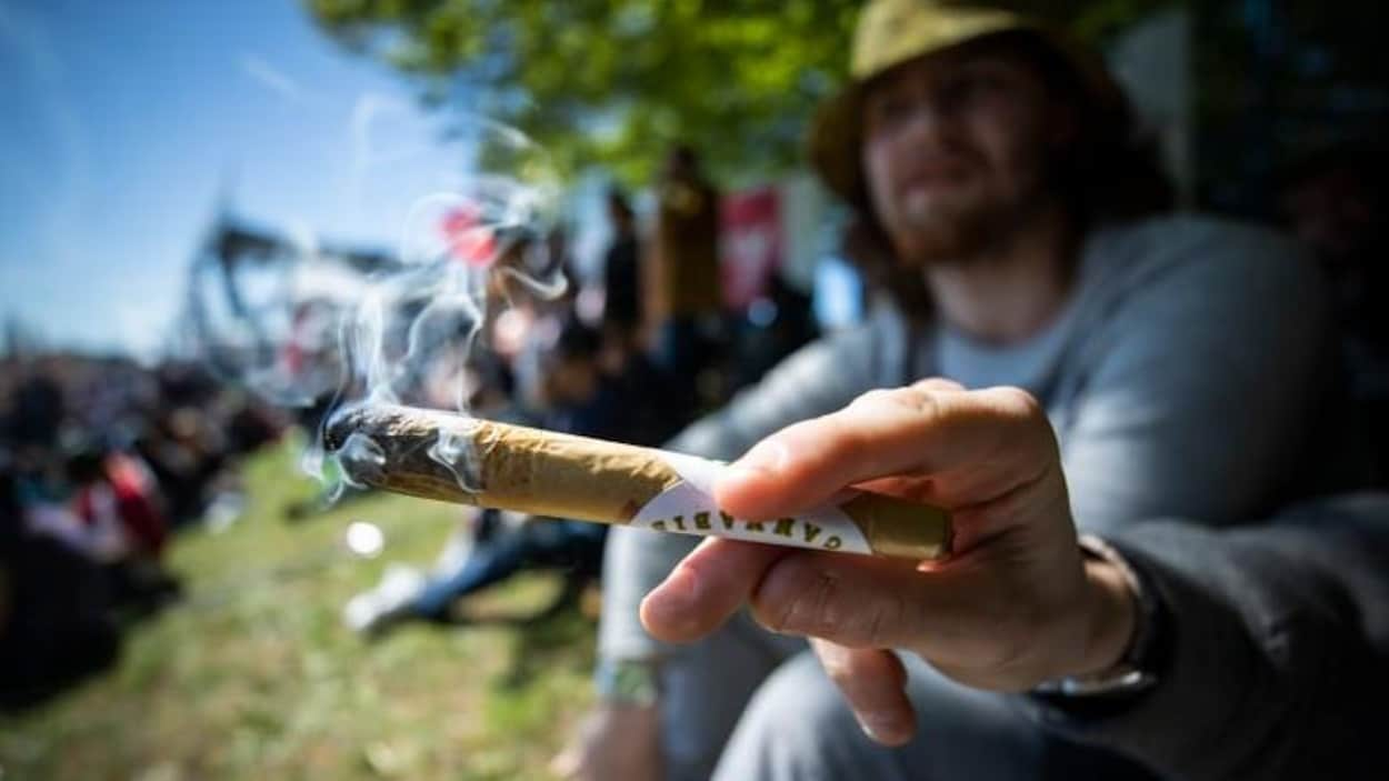 Hausse De 40% De Consommateurs De Cannabis Au Canada, La C.-B. En Tête ...