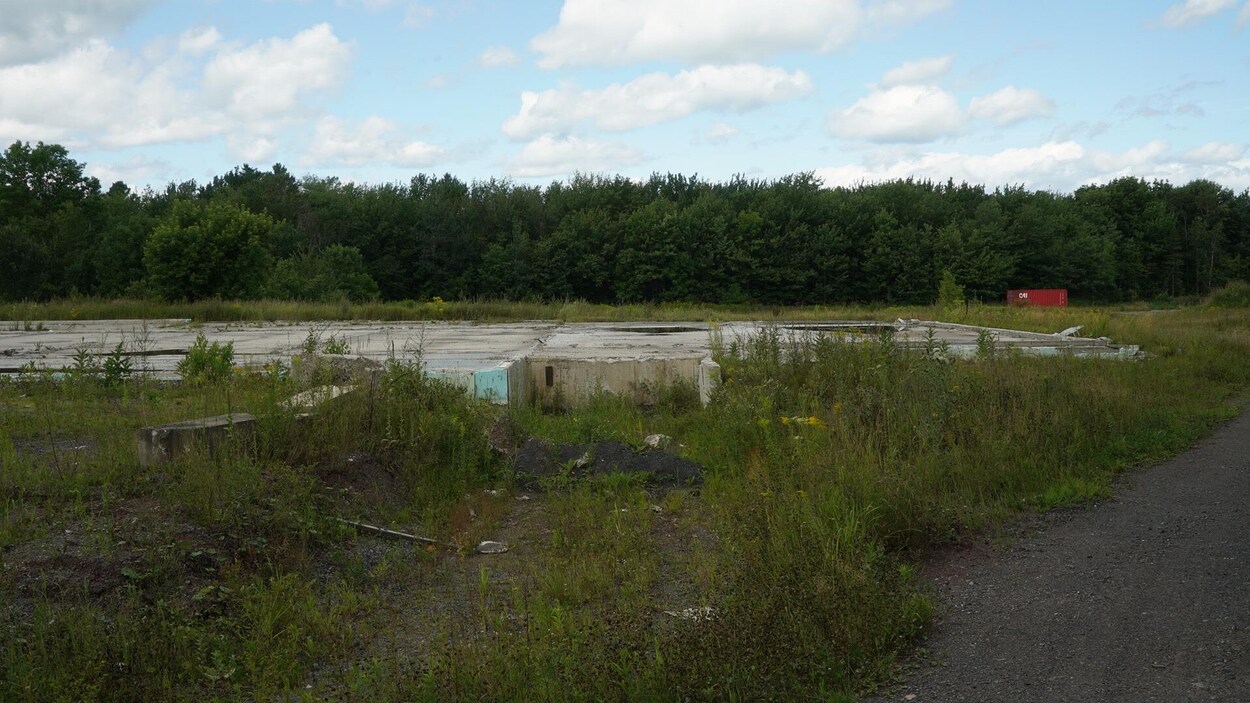 L'usine sera érigée sur le site d'une ancienne usine de champignons à l'intersection des rues Livaudière et de la Faune