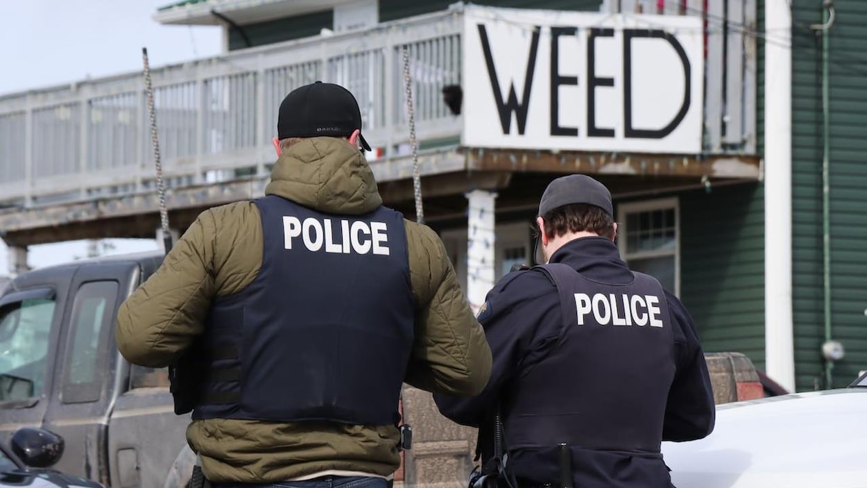 Après une saisie de cannabis, les Mi’kmaq de Potlotek bloquent une autoroute au Cap-Breton