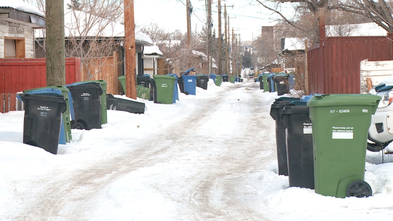 Des poubelles bleues, vertes et noires attendent d'être ramassées dans une ruelle de Calgary.