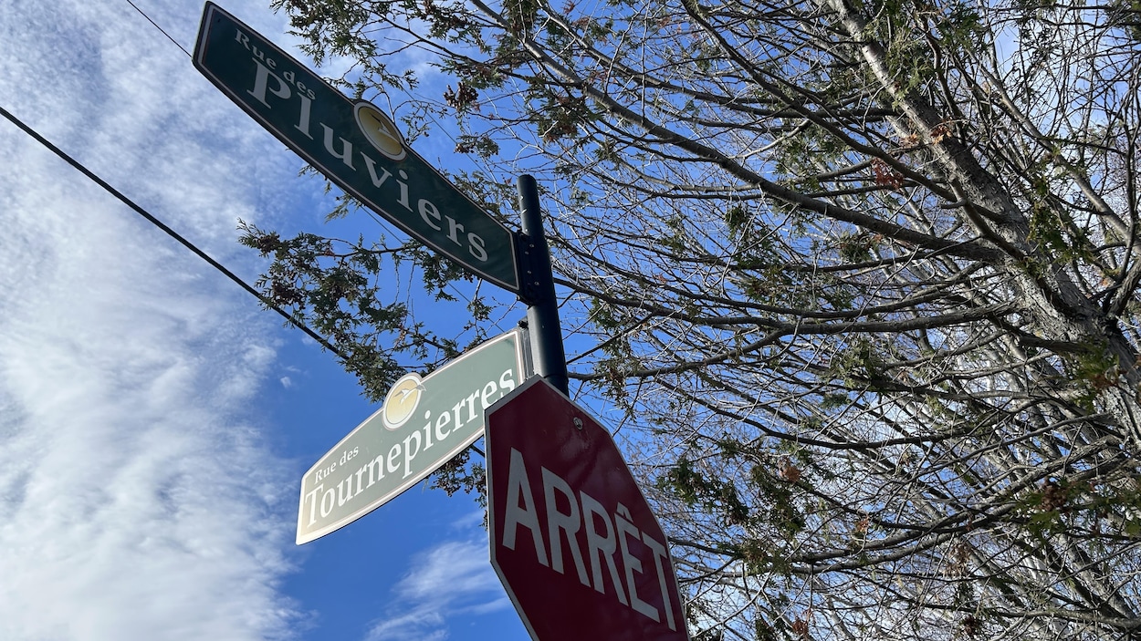 Le choix des résidents de la pointe Verte est fait