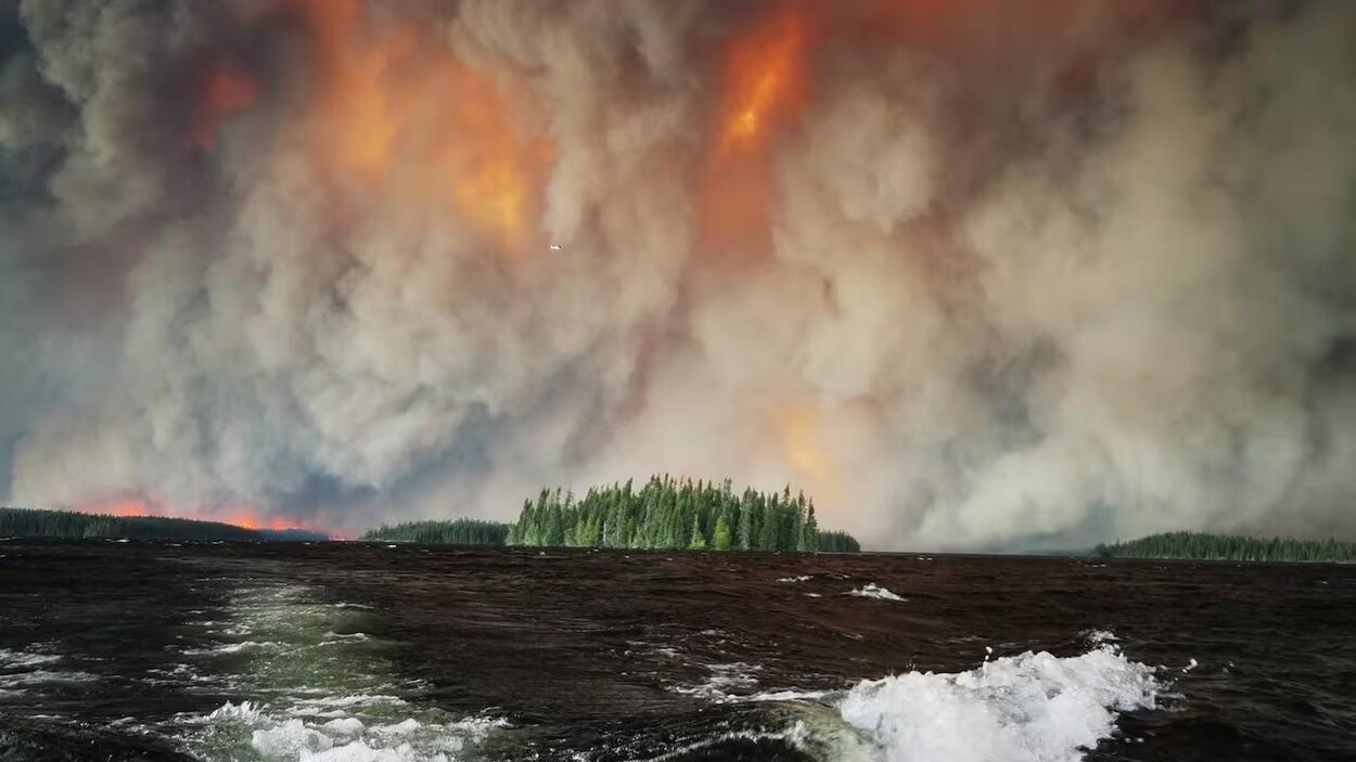 Les feux de forêt n’entraînent pas de pertes importantes pour le secteur de l’assurance