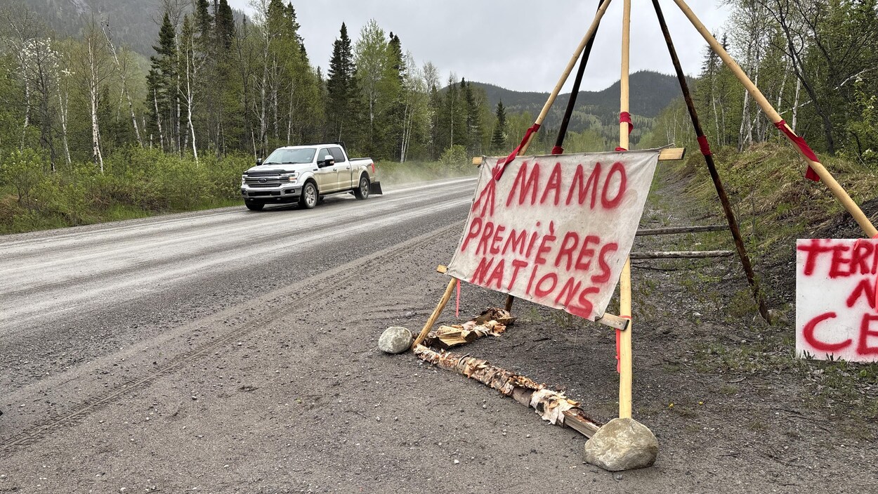 La tension monte en forêt au nord du Lac-Saint-Jean | En bref | Radio ...