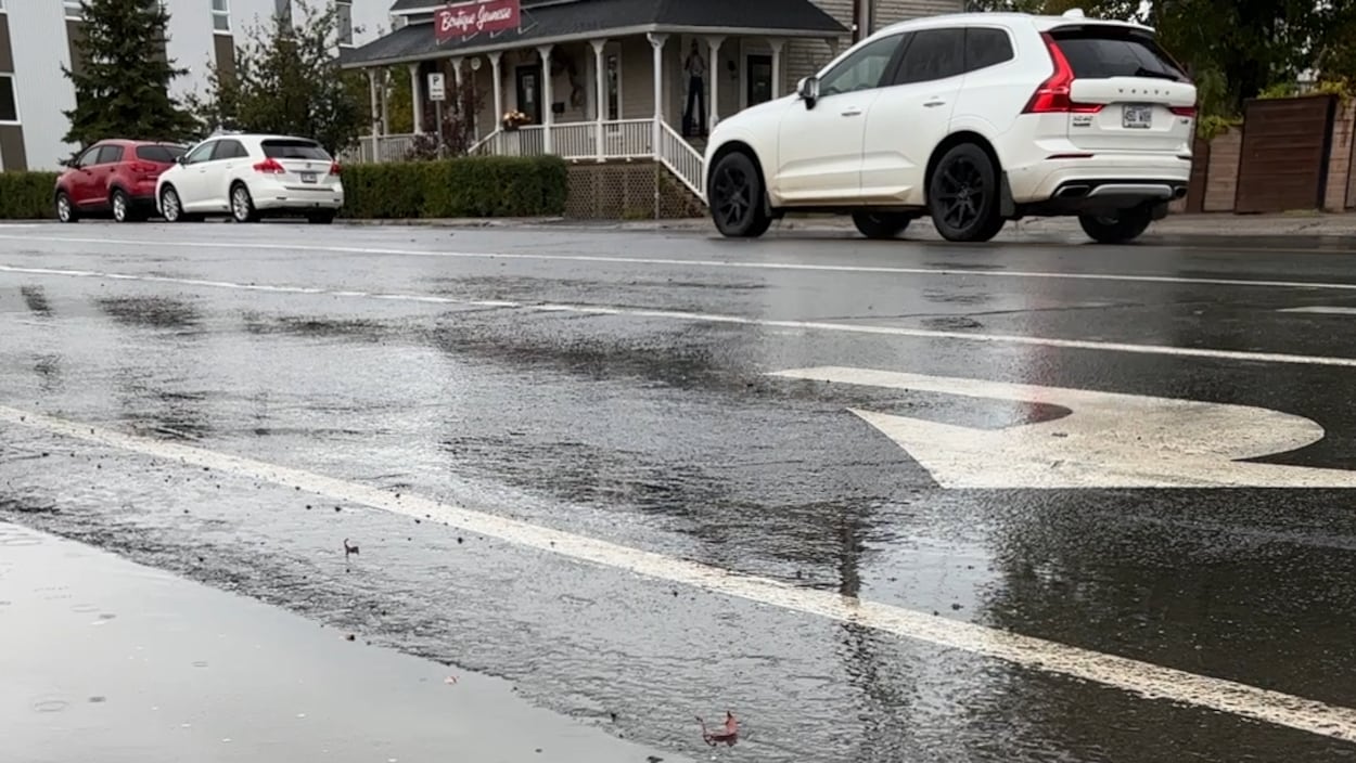 Tempête automnale en vue