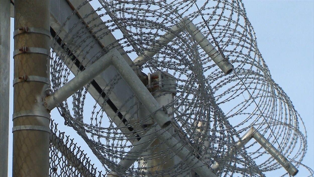 Barbelés sur le grillage du périmètre de sécurité d'une prison.