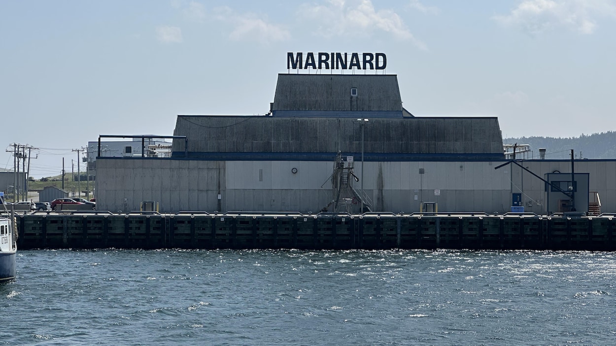 Du homard pour assurer le futur de Marinard