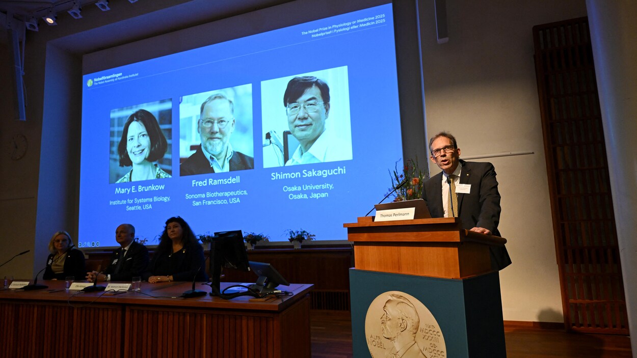 Le Nobel de médecine récompense la recherche sur le contrôle du système immunitaire