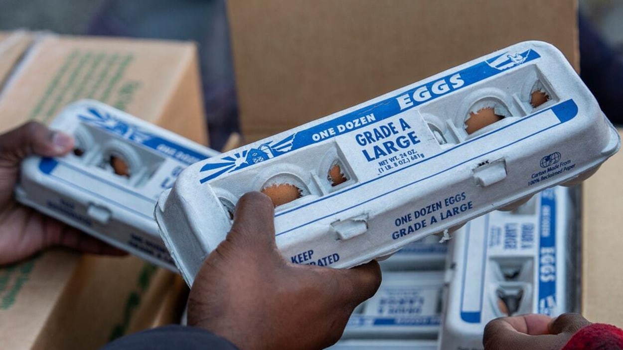 États-Unis: 53 millions d’œufs donnés par des producteurs accusés d’entente sur les prix