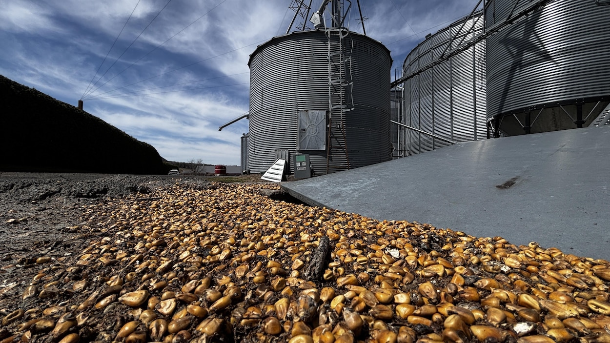 Fermeture de détroit d’Ormuz : l’espoir aura été de courte durée pour le milieu agricole