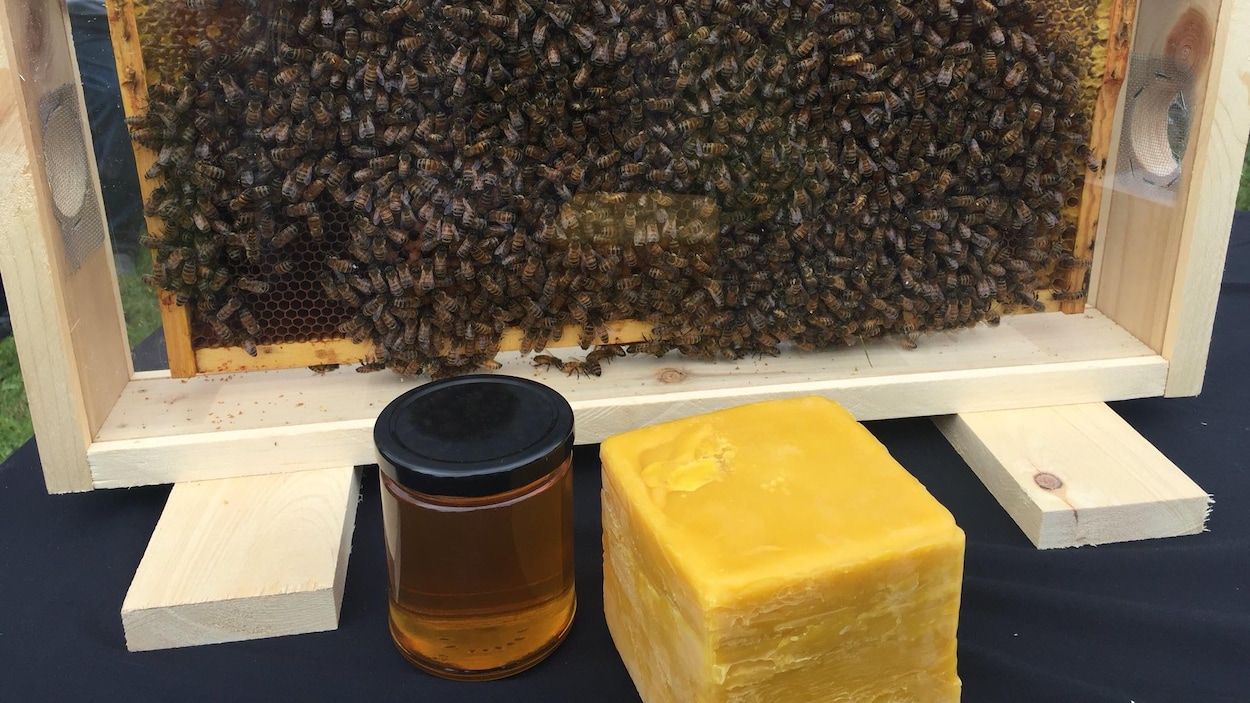 Une ruche, des abeilles, du miel et un bloc de cire d'abeilles.