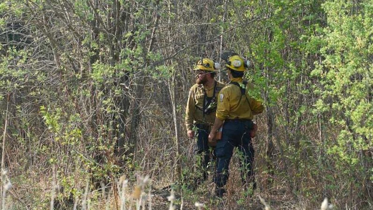 Inquiétudes de personnel avant la saison des feux de forêt