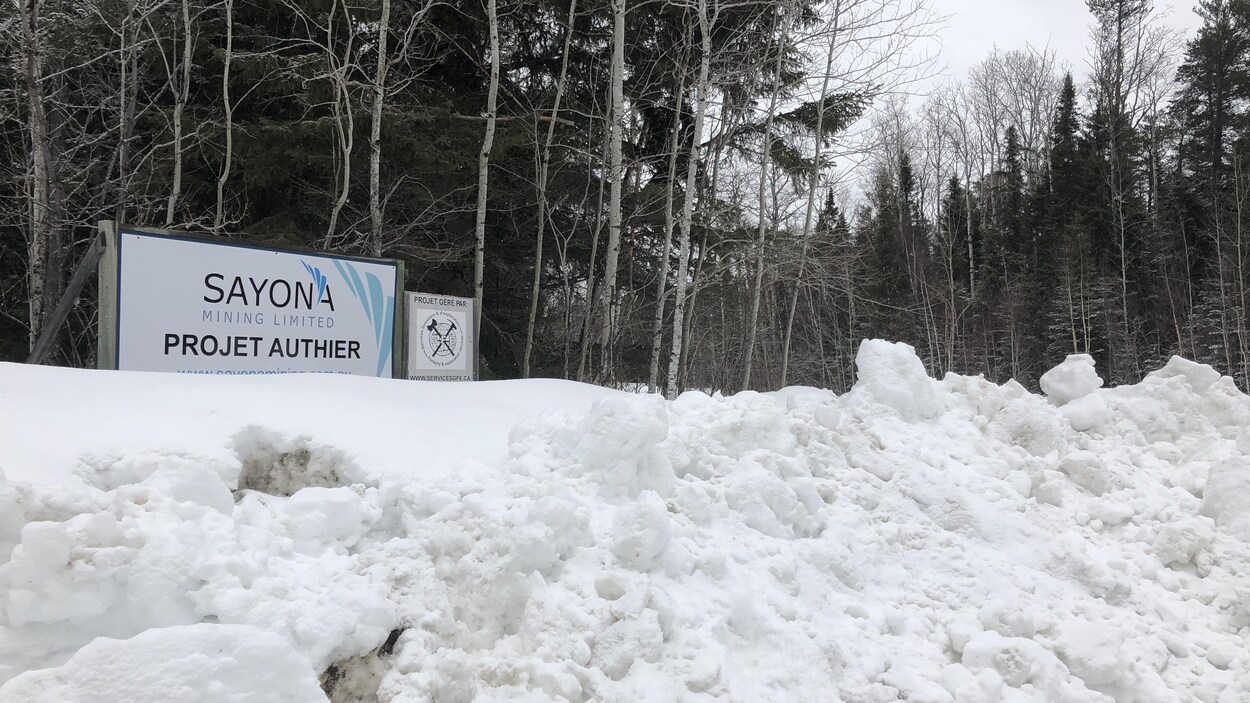 Une affiche sur laquelle il est écrit: «Sayona Mining Limited, Projet Authier» devant une forêt de sapins.