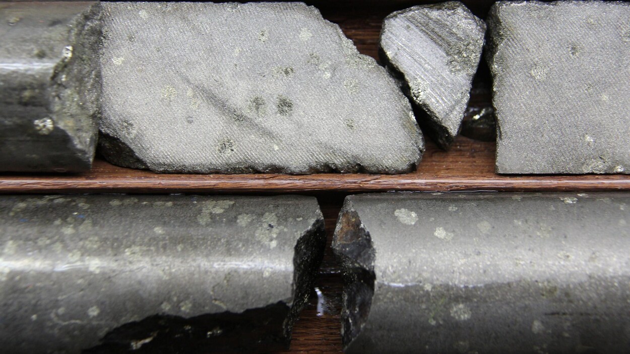 Des concentrations de nickel jugées intéressantes pour un projet au