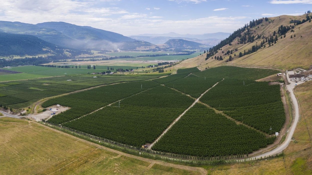 Devant la sécheresse, des agriculteurs creusent des puits dans l’Okanagan