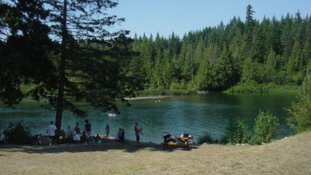 Des personnes en maillots de bain et en t-shirt se prélassent à l'ombre des arbres sur la plage au bord de la rivière.