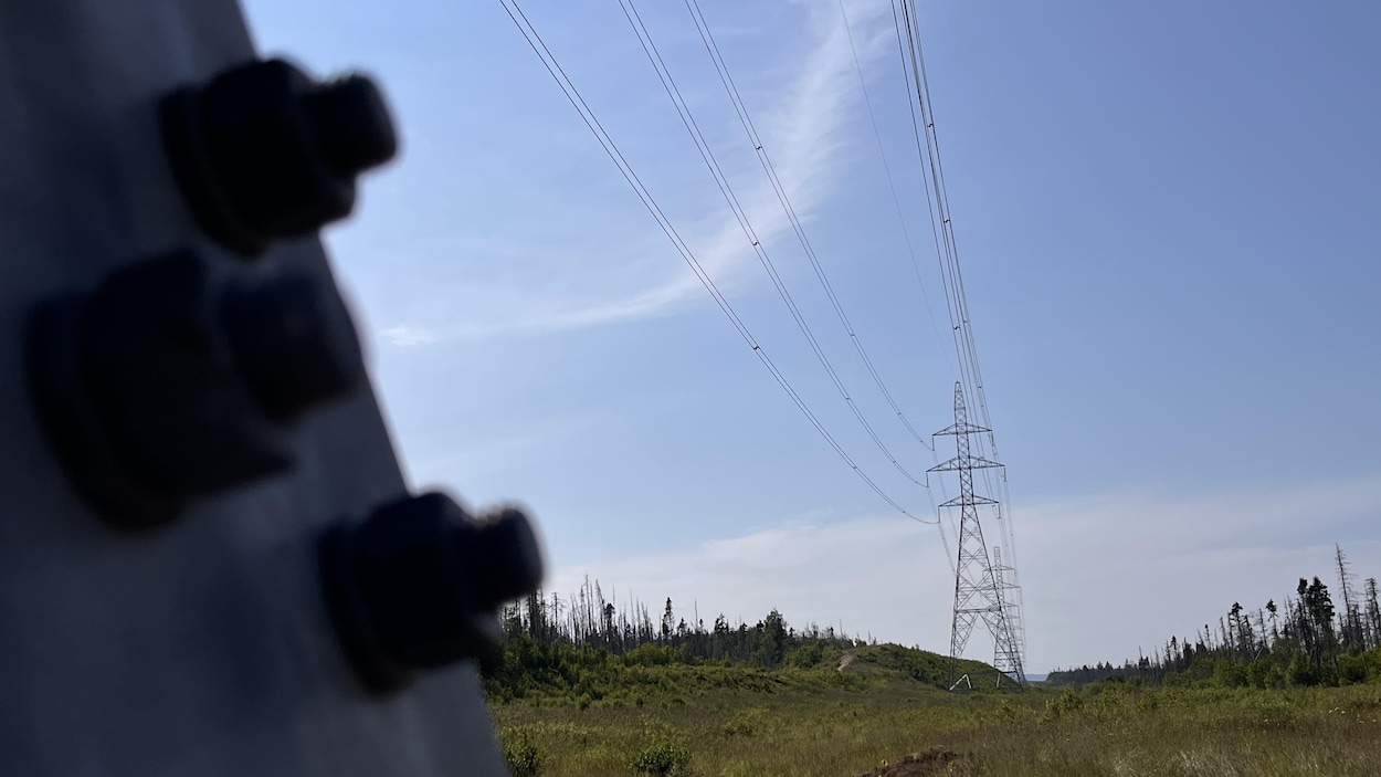 Hydro-Québec avise de ne pas manger les fruits sous les lignes électriques à Baie-Comeau