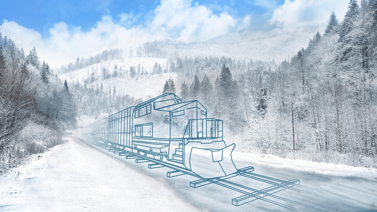 Dessin d'un train en marche dans une forêt.