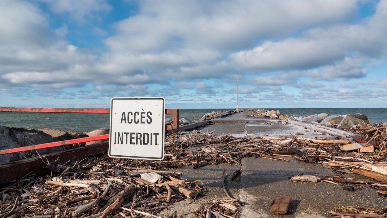 Un quai de béton couvert de branche et une affiche indiquant que l'accès est interdit.