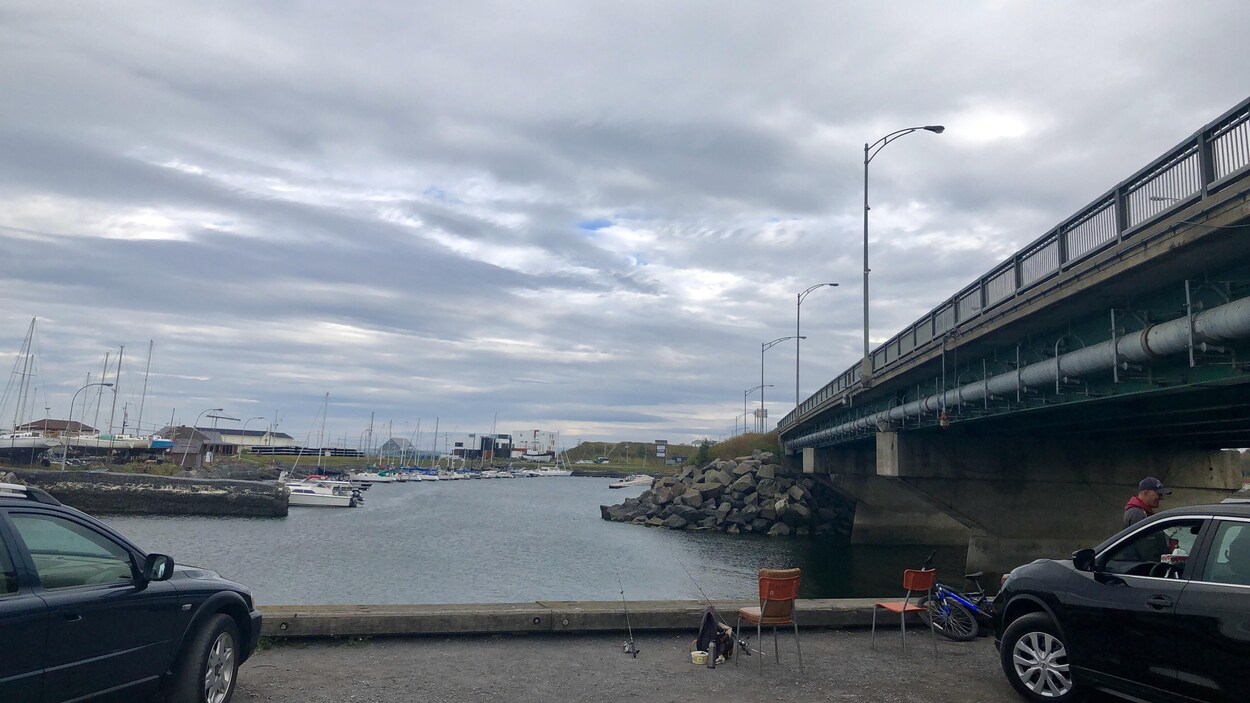Des voitures stationnées sur un quai qui fait face à une marina