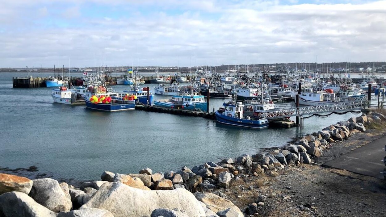 Un quai avec des bateaux de pêche au homard en Nouvelle-Écosse.