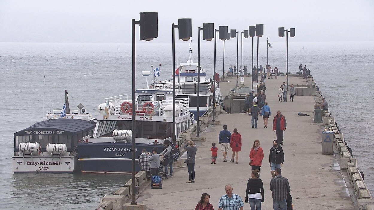 Des bateaux d'excursion sont accostés au quai de Percé et des touristes se promènent sur le quai.