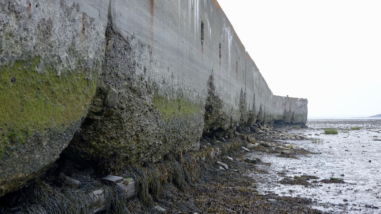 Travaux majeurs à venir au quai Taché de Kamouraska