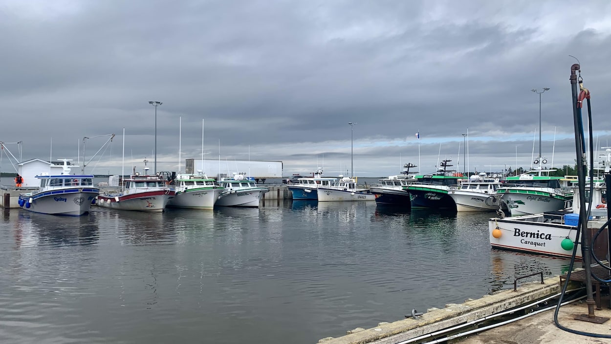 Les pêcheurs de homard du Nord-Est ont une « très mauvaise saison »