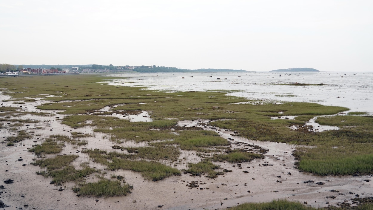 Qualité de l’air « moyenne » au Bas-Saint-Laurent