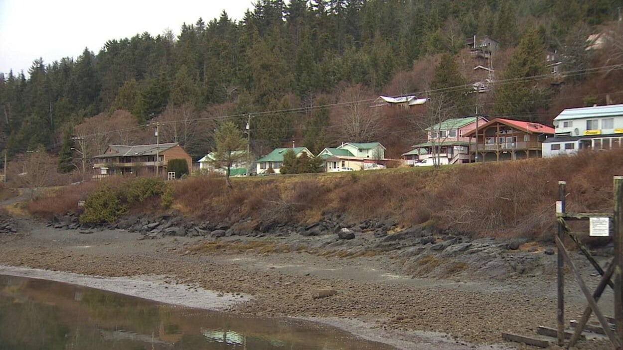 Huit maisons au bord de l'eau dans le village de Queen Charlotte avec des sapins sur une colline en arrière-plan.
