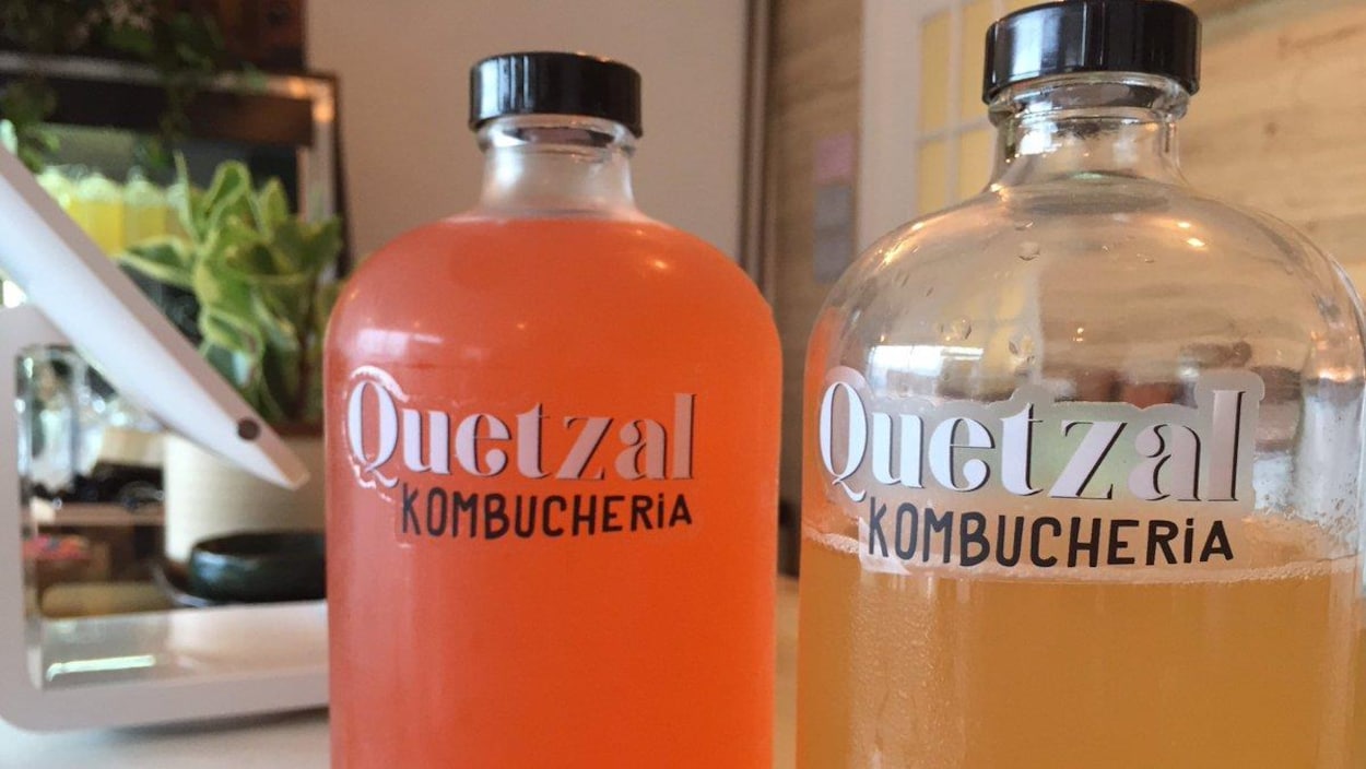 L'entreprise Quetzal kombucha de Shawinigan ouvre une « kombucheria », où le produit est disponible en fût.
