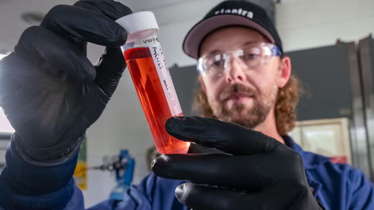 Cobalt : une raffinerie ontarienne alimentée par la République démocratique du Congo