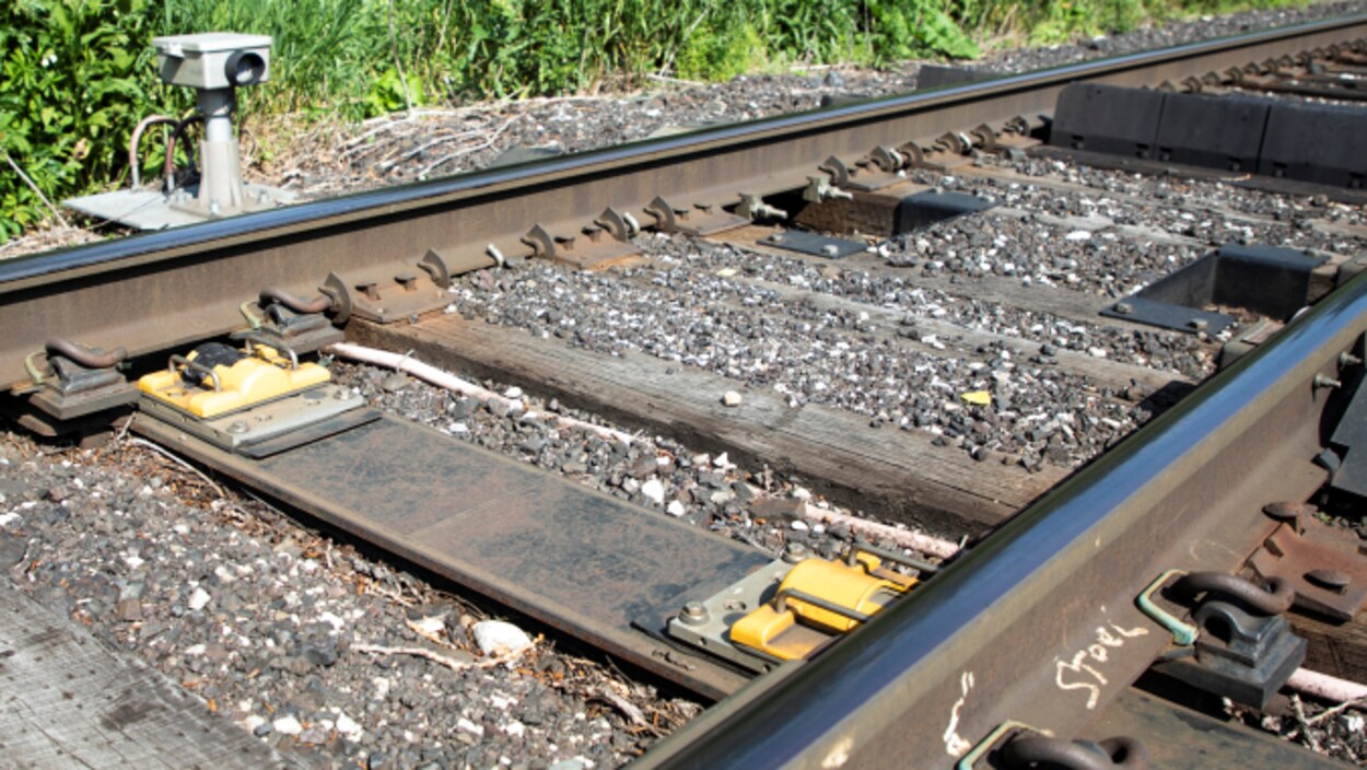 Des rails sous le soleil.