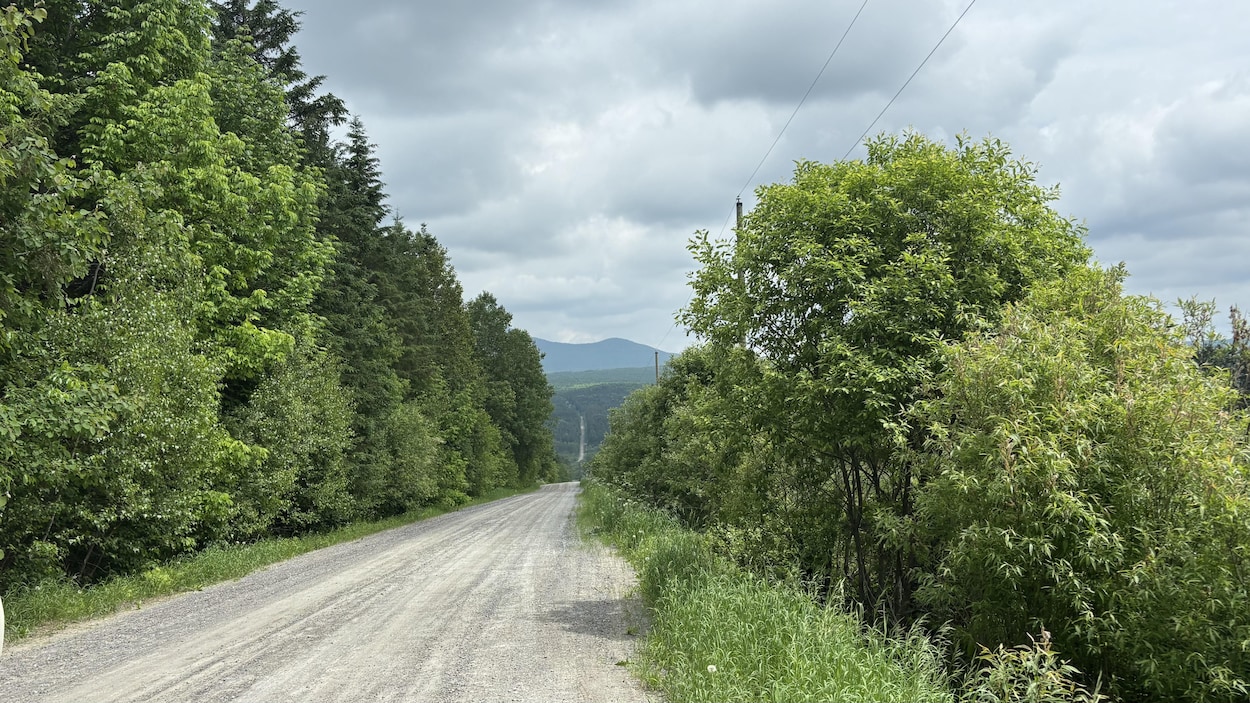 Un projet résidentiel et agricole attendu à Saint-Camille