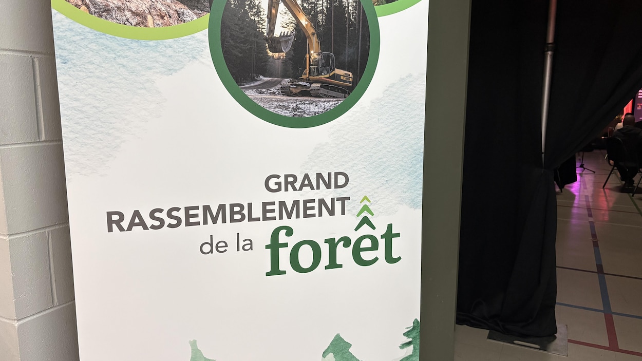 Des acteurs de l’industrie forestière demeurent optimistes malgré l’imprévisibilité