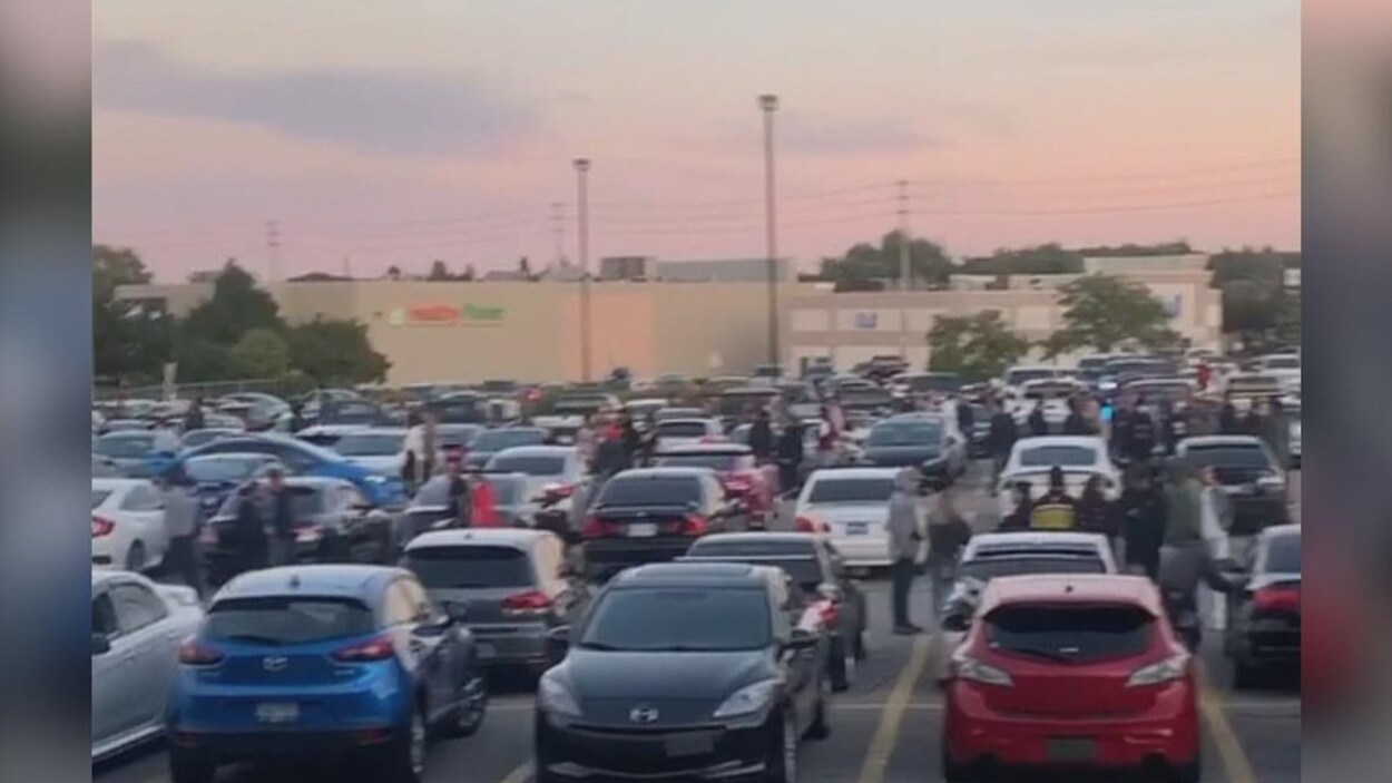 Plusieurs véhicules dans un stationnement.