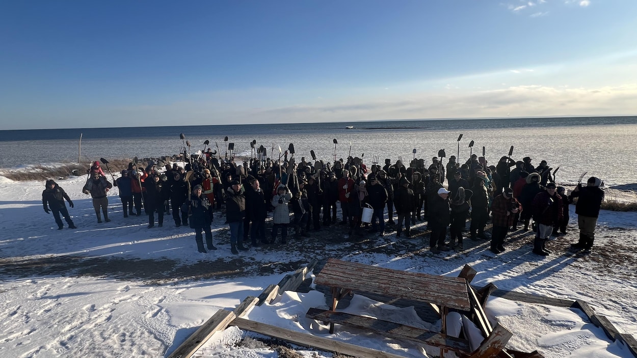 Des citoyens demandent l’ouverture de sites de pêche aux coques