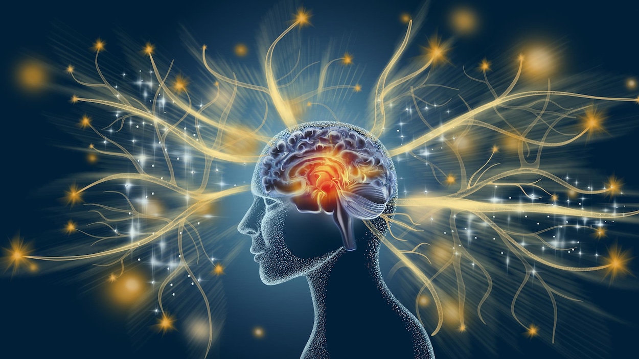 Janvier : mois de sensibilisation à la maladie d'Alzheimer | Radio-Canada