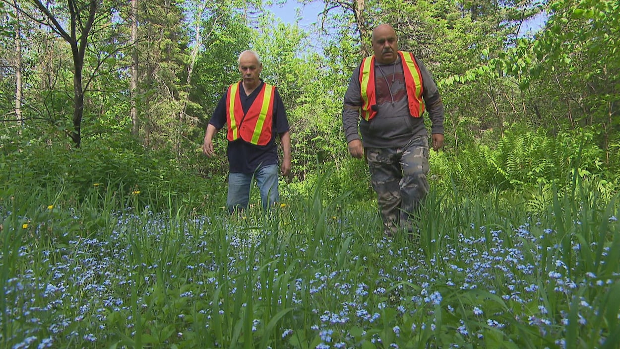 Deux hommes avec des dossards marchent dans les bois. Deux hommes avec des dossards marchent dans les bois.
