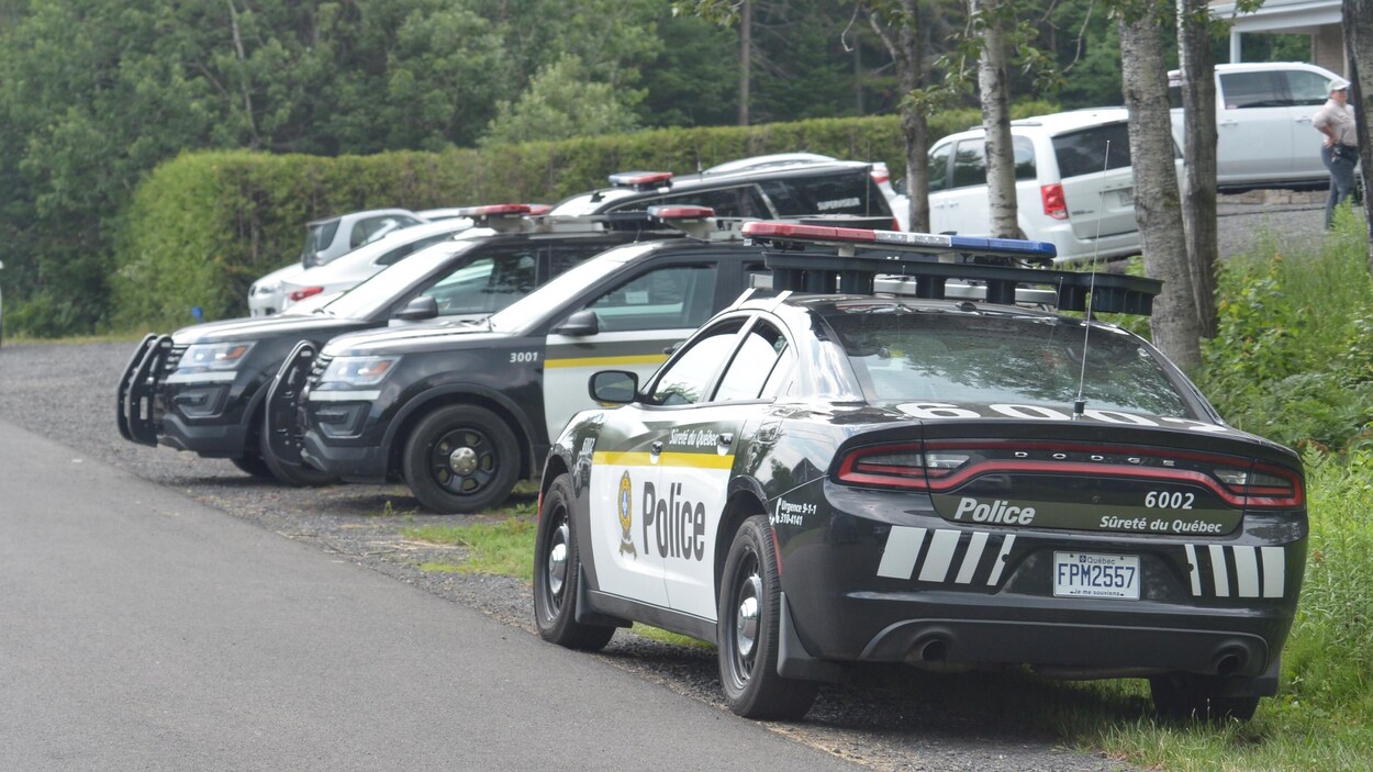 De nombreuses voitures de police immobilisées en bordure d'une route.