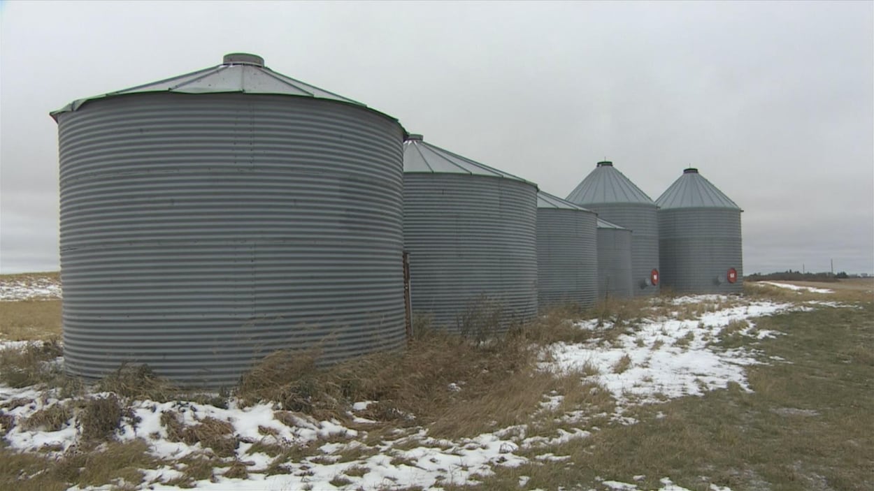 Plan large de six silos en métal pour ranger le grain sur un champ enneigé par temps gris.