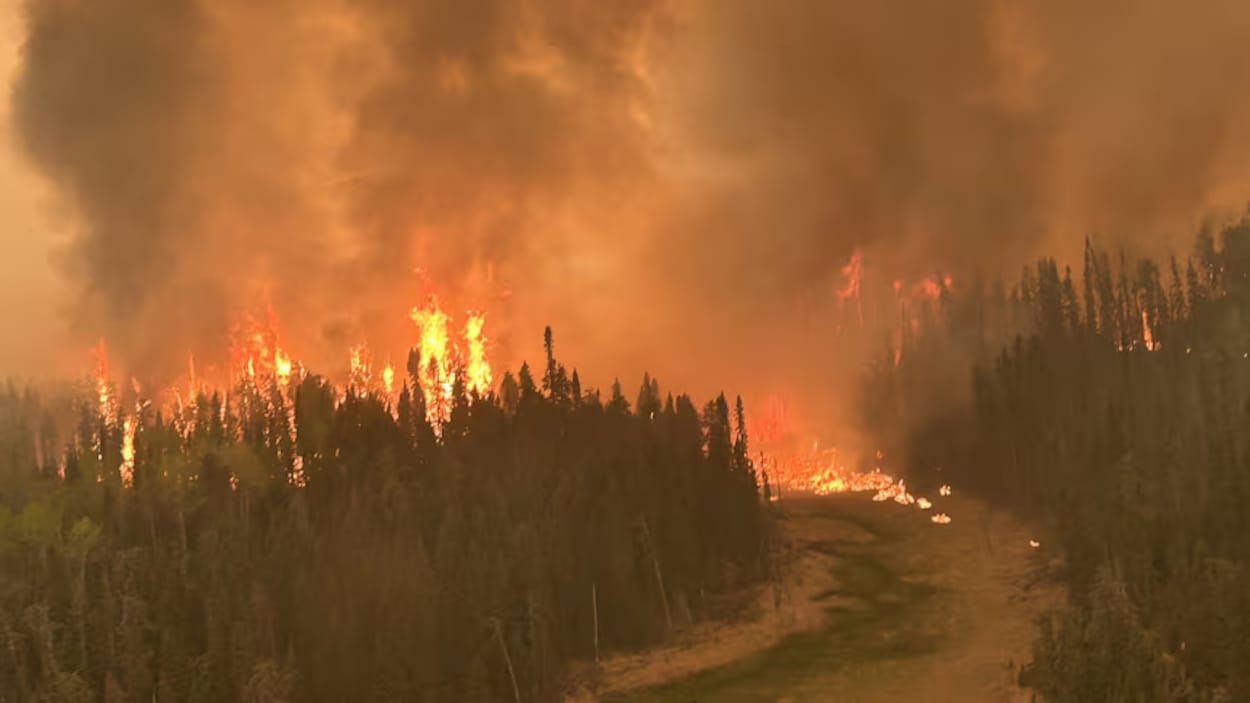 Le Nord de l’Ontario enregistre 18 feux de forêt actifs, dont 9 non maîtrisés